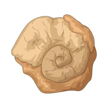 Ancient shell illustration Stock Illustration