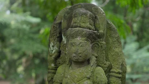 Ancient Shiva stone statue in a dense tropical forest Stock-Footage 312253375