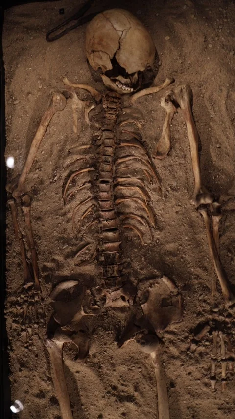 An ancient skeleton partially unearthed in sand, with visible cracks and wear on Stock Footage 289637987