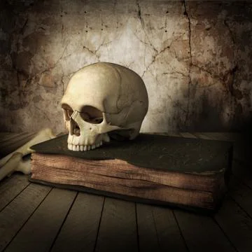 Ancient skull with book Stock Illustration