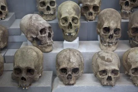 Ancient Skulls Stock Photos