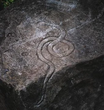 Ancient snake imprinted on the stone Stock Photos