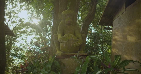 Ancient statue of a monkey in the jungle of Thailand Stock Footage 234872520