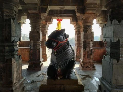 Ancient statue of nandi in front of hindu temple, Maharashtra Stock Photos