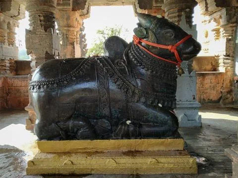 Ancient statue of nandi in front of hindu temple, Maharashtra Stock Photos