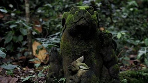 Ancient statue in the rainforest in Bali Stock Footage 229777982