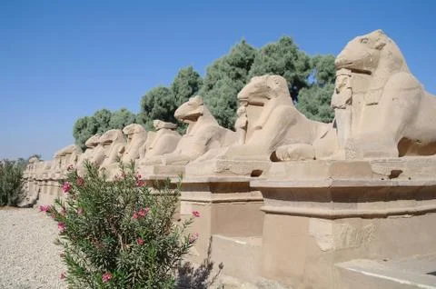 Ancient statues of ram-headed sphinxes in karnak temple, luxor Stock Photos