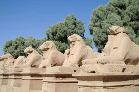 Ancient statues of ram-headed sphinxes in karnak temple, luxor Stock Photos