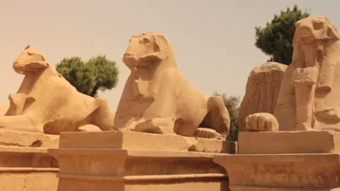 Ancient statues as sheep Stock Footage 86422357