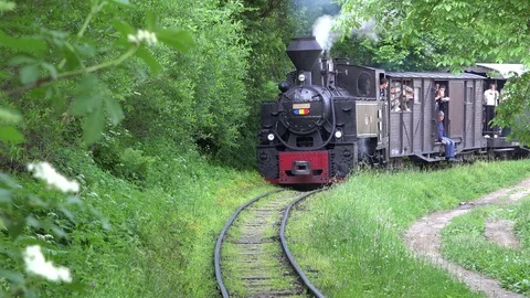 Ancient steam train passes through beautiful green nature in the wild mountains Stock Footage 88388214