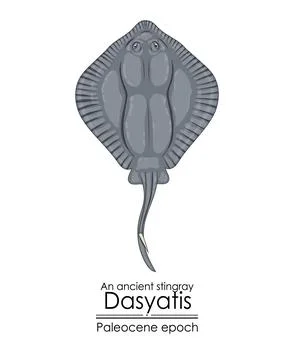An ancient stingray Dasyatis Stock Illustration
