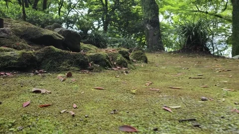 Ancient stone and wooden posts covered in moss 動画素材 337698707