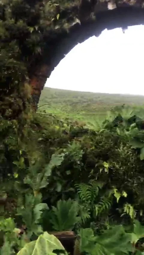 Ancient Stone Aqueduct Covered in Moss – São Miguel, Azores Stock Footage 327204312
