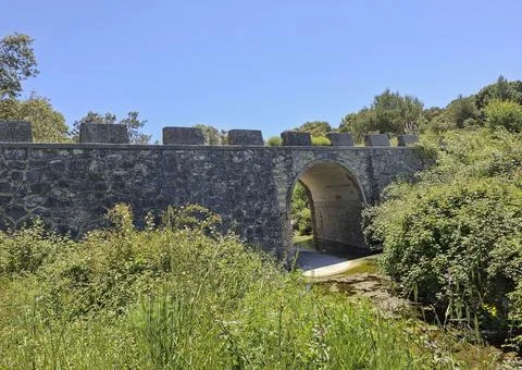 Ancient stone arch bridge spanning a river in a green area under a bright b.. Foto stock