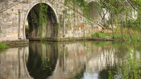 Ancient Stone Arch Bridge with Water Reflection in Nature Stock Footage 340267766