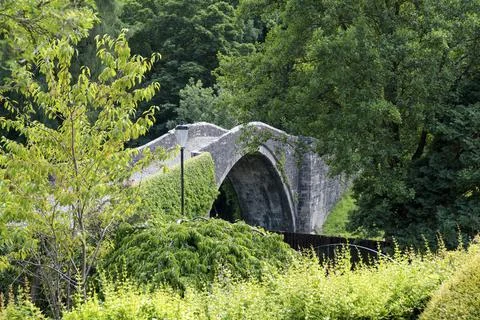 Ancient stone bridge arches gracefully through greenery Stock Photos