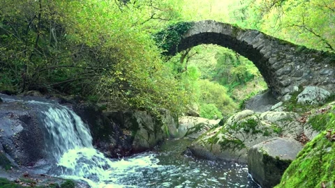 Ancient Stone Bridge with Forest Waterfall Video stock 343254746