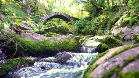 Ancient Stone Bridge Over Forest Stream 스톡 동영상 343254628