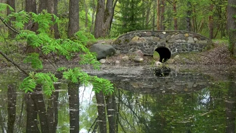 An ancient stone bridge over a small pond Stock Footage 306362001