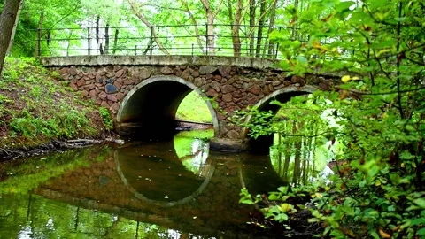 An ancient stone bridge over a wild forest river. Stock Footage 145453873