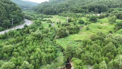 Ancient stone bridge spans lush green valley 動画素材 343246456