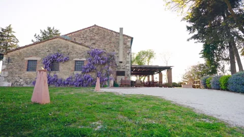 Ancient stone building facade covered with amazing growing purple wisteria Stock-Footage 265179427