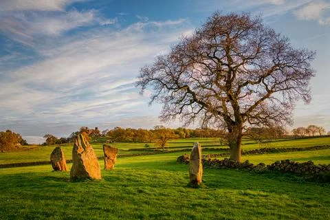 Ancient stone circle and large oak tree in green spring field, Peak District Stock Photos