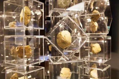 Ancient stone display Stock Photos