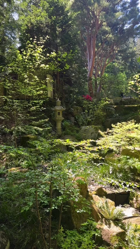 Ancient Stone Lantern Hidden Among Lush Garden Greenery Stock Footage 347629760