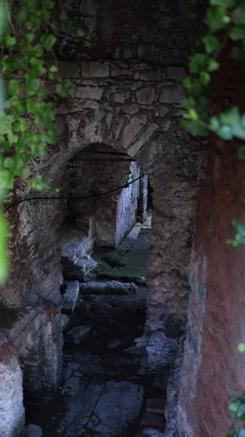 Ancient stone passage with moss and ivy Stock Footage 327925140