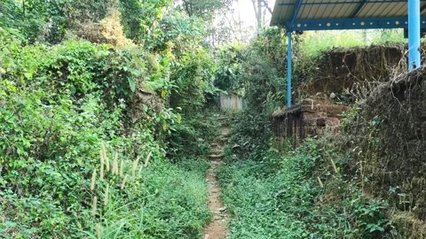 Ancient Stone Pathway to Sree Krishna Temple in Kallur Palakkad with Lush M.. Stock Footage 326028298