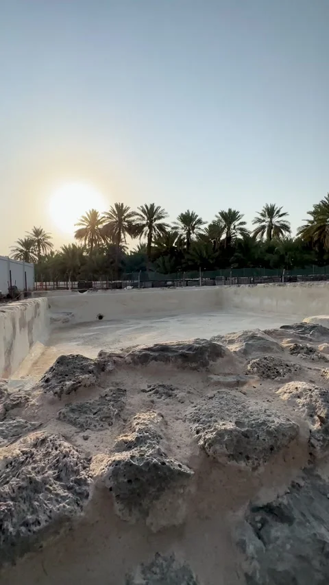 Ancient Stone Pool Amidst Palm Trees Stock Footage 340420404