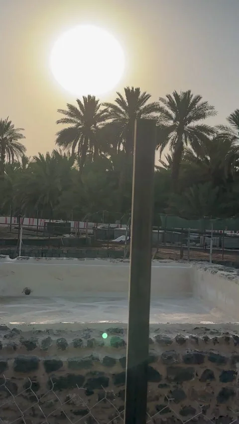 Ancient Stone Ruins at Sunset with Palm Trees Stock Footage 340421300