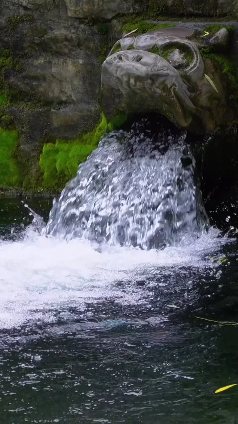Ancient Stone Spout Water Cascade at Black Tiger Spring Stock Footage 331216448