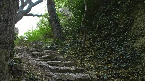 An ancient stone staircase in the gorge, the slopes of which are overgrown with Stock Footage 233684428