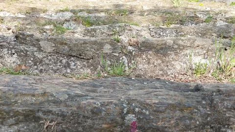 Ancient Stone Stairs Фото