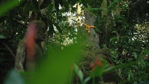 Ancient Stone Statue Decorated with Flower Garland in Deep Tropical Jungle Stock Footage 327796547