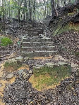 Ancient stone steps in forest trail Japan Stock Photos
