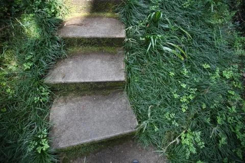 Ancient stone steps in a thicket of thick emerald grass Stock Photos
