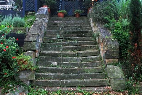 Ancient stone steps, weathered and covered in vibrant green moss Stock Photos