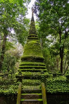 Ancient stone structure enveloped in vibrant green moss nestled within dens.. Stock Photos