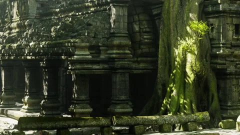 Ancient stone structure surrounded by large tree with green leaves Stock Footage 345064314