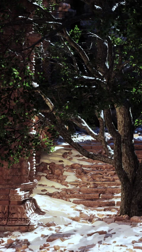 Ancient stone structure with trees and sandy path in bright sunlight Stock Footage 340875497