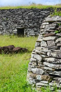 Ancient stone structures amidst greenery on Easter Island. Stock-Fotos