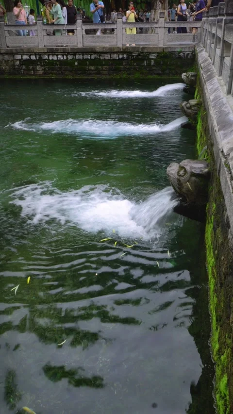 Ancient Stone Tiger Spouts Gushing Water at Black Tiger Spring, Jinan Video stock 331216085