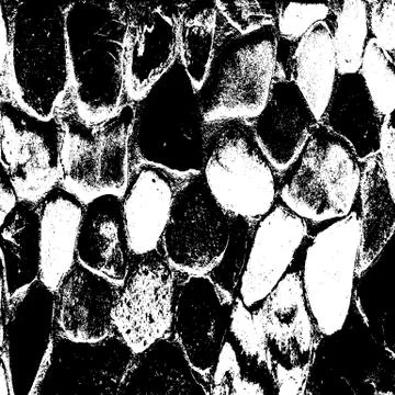 Ancient stone wall  background vector illustratuin Stock Illustration