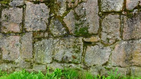 Ancient Stone Wall Covered in Moss Near Lush Green Grass Under Natural Light Foto stock
