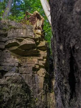 Ancient Stone Wall in Dense Forest With Weathered Rocks and Tree Roots Stock Photos