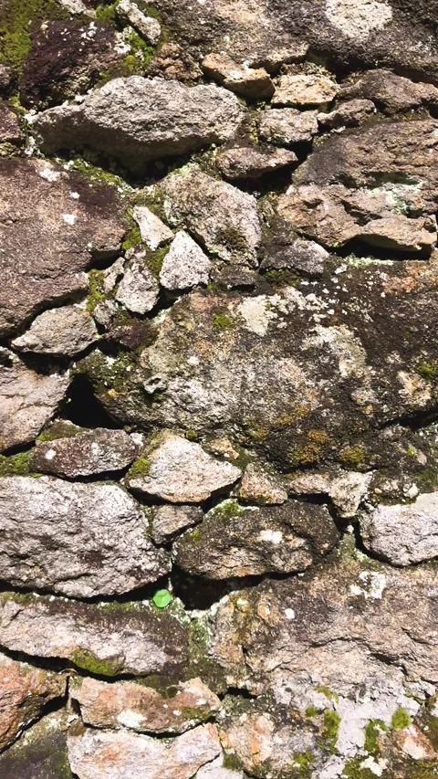 Ancient stone wall Stock Footage 254926560