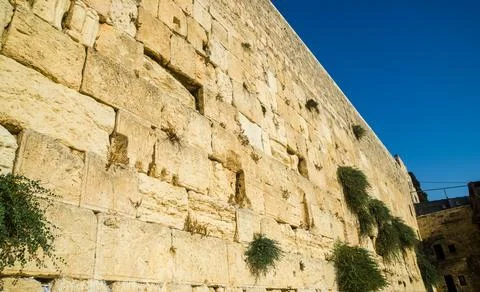 Ancient stone wall with prayer cracks and greenery Photos